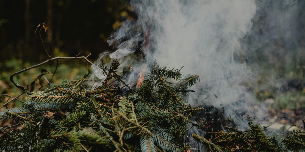 Bonfire